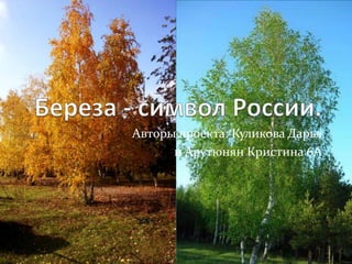 Береза - символ России.  Авторы проекта: Куликова Дарья  и Арутюнян Кристина 6А 