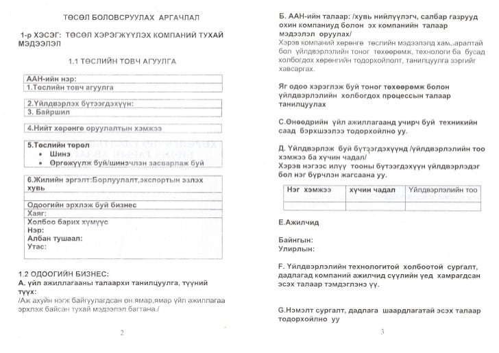хөрөнгө оруулалтын төслийн загвар