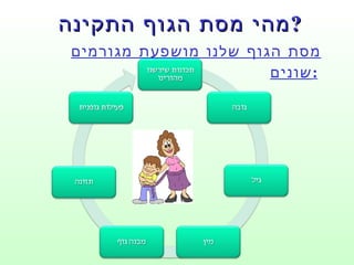 מהי מסת הגוף התקינה ? מסת הגוף שלנו מושפעת מגורמים שונים :   