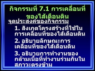 กิจกรรมที่  7.1  การเคลื่อนที่ของไส้เดือนดิน จุดประสงค์ของกิจกรรม 1.  สังเกตโครงสร้างที่ใช้ในการเคลื่อนที่ของไส้เดือนดิน 2.  อธิบายลักษณะการเคลื่อนที่ของไส้เดือนดิน 3.  อธิบายการทำงานของกล้ามเนื้อที่ทำงานร่วมกันในสภาวะตรงข้าม 
