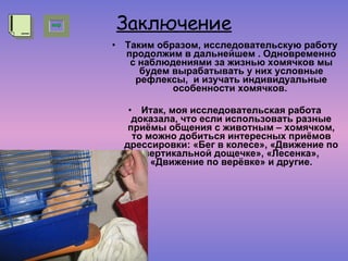 Заключение Таким образом, исследовательскую работу продолжим в дальнейшем . Одновременно с наблюдениями за жизнью хомячков мы будем вырабатывать у них условные рефлексы,  и изучать индивидуальные особенности хомячков.   Итак, моя исследовательская работа доказала, что если использовать разные приёмы общения с животным – хомячком, то можно добиться интересных приёмов дрессировки: «Бег в колесе», «Движение по вертикальной дощечке», «Лесенка», «Движение по верёвке» и другие. 