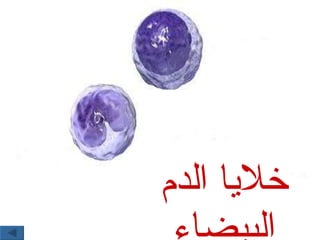 خلايا الدم البيضاء 