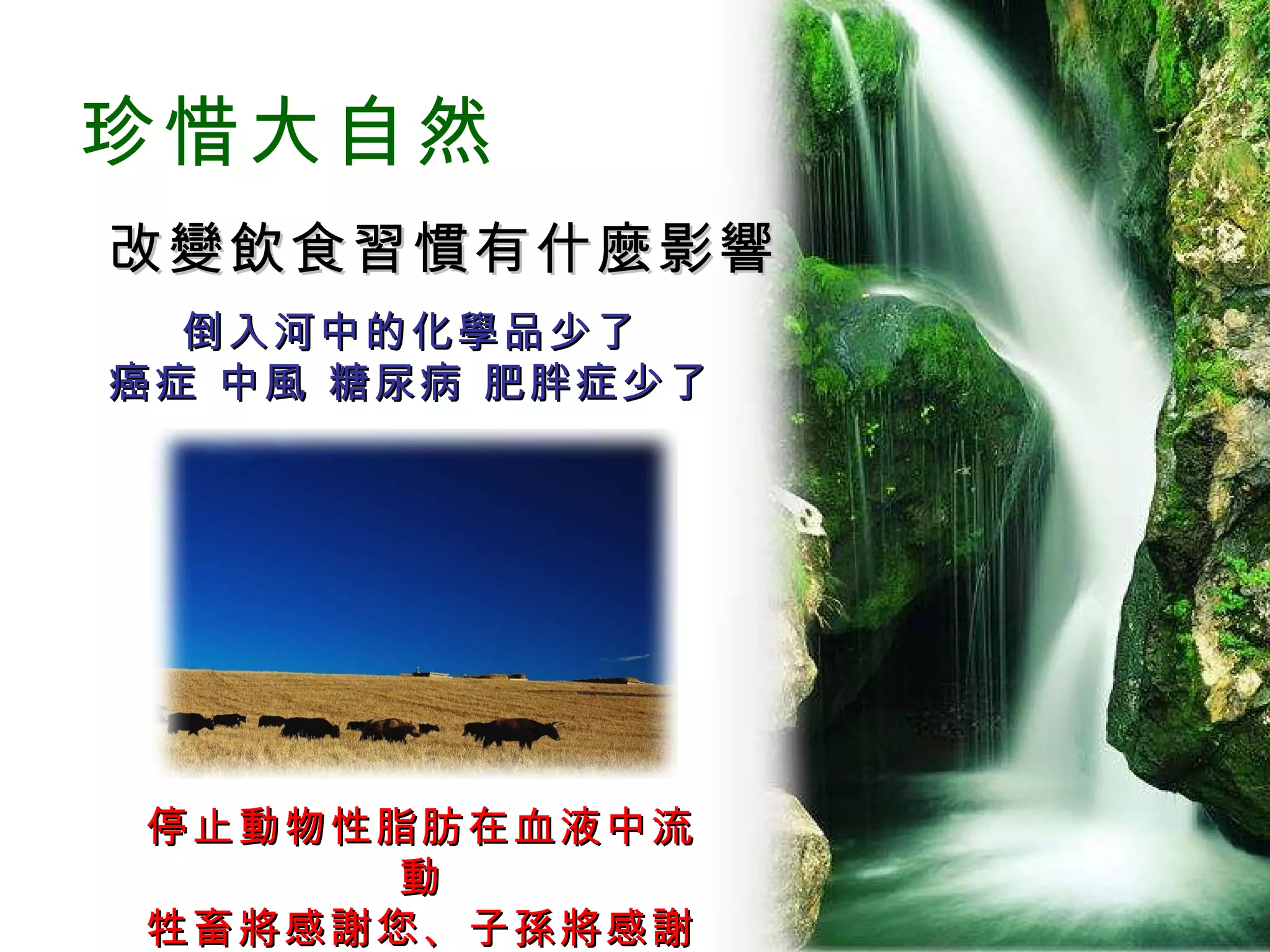 改變飲食習慣有什麼影響 倒入河中的化學品少了 癌症 中風 糖尿病 肥胖症少了 停止動物性脂肪在血液中流動 牲畜將感謝您、子孫將感謝您 珍惜大自然 
