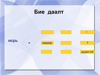 Унасан  хүүхэд  нь  аялгуулдаг  бол  эдгээр  хүүхдүүд  морь  унаж байхдаа  юу юуг  анхаарах  ёстойг  үзье. 