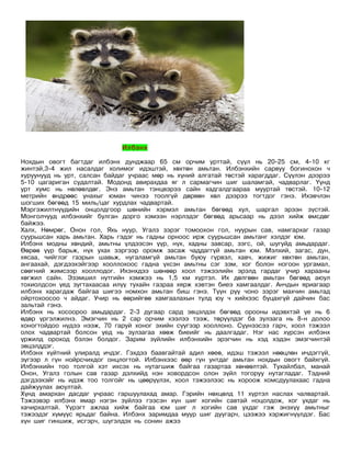 Илбэнх

Нохдын овогт багтдаг илбэнх дунджаар 65 см орчим урттай, сүүл нь 20-25 см, 4-10 кг
жинтэй,3-4 жил насалдаг холимог идэштэй, хөхтөн амьтан. Илбэнхийн сарвуу богинохон ч
хуруунууд нь урт, салсан байдаг учраас мөр нь хүний алгатай төстэй харагддаг. Сүүлэн дээрээ
5-10 цагариган судалтай. Модонд авирахдаа яг л сармагчин шиг шаламгай, чадварлаг. Үүнд
урт хумс нь нөлөөлдөг. Энэ амьтан тэнцвэрээ сайн хадгалдгаараа мууртай төстэй. 10-12
метрийн өндрөөс унахыг юман чинээ тоолгүй дөрвөн хөл дээрээ тогтдог гэнэ. Ихэвчлэн
шогших бөгөөд 15 миль/цаг хурдлах чадвартай.
Мэргэжилтнүүдийн онцолдгоор шөнийн хэрмэл амьтан бөгөөд хул, шаргал эрээн зүстэй.
Монголчууд илбэнхийг булган дорго хэмээн нэрлэдэг бөгөөд арьсаар нь дээл хийж өмсдөг
байжээ.
Халх, Нөмрөг, Онон гол, Яхь нуур, Угалз зэрэг томоохон гол, нуурын сав, намгархаг газар
суурьшсан харь амьтан. Харь гэдэг нь гадны орноос ирж суурьшсан амьтанг хэлдэг юм.
Илбэнх модны хөндий, амьтны үлдээсэн үүр, нүх, хадны завсар, зэгс, ой, шугуйд амьдардаг.
Өөрөө үүр барьж, нүх ухах зэргээр оромж засаж чаддаггүй амьтан юм. Мэлхий, загас, дун,
хясаа, чийглэг газрын шавьж, нугаламгүй амьтан буюу гүрвэл, хавч, жижиг хөхтөн амьтан,
ангаахай, дэгдээхэйгээр хооллохоос гадна үхсэн амьтны сэг зэм, хог болон ногоон ургамал,
сөөгний жимсээр хооллодог. Ихэнхдээ шөнөөр хоол тэжээлийн эрэлд гардаг учир харааны
хөгжил сайн. Эзэмшил нутгийн хэмжээ нь 1,5 км хүртэл. Их дөлгөөн амьтан бөгөөд аюул
тохиолдсон үед зугтахаасаа илүү тухайн газраа хярж хэвтэн биеэ хамгаалдаг. Анчдын яриагаар
илбэнх харагдаж байгаа шигээ номхон амьтан биш гэнэ. Түүн рүү чоно зэрэг махчин амьтад
ойртохоосоо ч айдаг. Учир нь өөрийгөө хамгаалахын тулд юу ч хийхээс буцахгүй дайчин бас
зальтай гэнэ.
Илбэнх нь хосоороо амьдардаг. 2-3 дугаар сард эвцэлдэх бөгөөд орооны идэвхтэй үе нь 6
өдөр үргэлжилнэ. Эмэгчин нь 2 сар орчим хээлээ тээж, төрүүлдэг ба зулзага нь 8-н долоо
хоногтойдоо нүдээ нээж, 70 гаруй хоног эхийн сүүгээр хооллоно. Сүүнээсээ гарч, хоол тэжээл
олох чадвартай болсон үед нь зулзагаа хөөж биеийг нь даалгадаг. Нэг нас хүрсэн илбэнх
үржилд ороход бэлэн болдог. Зарим зүйлийн илбэнхийн эрэгчин нь хэд хэдэн эмэгчинтэй
эвцэлддэг.
Илбэнх хүйтний улиралд ичдэг. Гэхдээ баавгайтай адил хөеө, идэш тэжээл нөөцлөн ичдэггүй,
зүгээр л гүн нойрсчихдог онцлогтой. Илбэнхээс өөр гүн унтдаг амьтан нохдын овогт байхгүй.
Илбэнхийн тоо толгой хэт ихсэх нь нутагшиж байгаа газартаа хөнөөлтэй. Тухайлбал, манай
Онон, Угалз голын сав газар дэлхийд нэн ховордсон олон зүйл тогоруу нутагладаг. Тэдний
дэгдээхэйг нь идэж тоо толгойг нь цөөрүүлэх, хоол тэжээлээс нь хороож хомсдуулахаас гадна
дайжуулах аюултай.
Хүнд амархан дасдаг учраас гаршуулахад амар. Гэрийн нөхцөлд 11 хүртэл наслах чалвартай.
Тэжээвэр илбэнх ямар нэгэн зүйлээ гээсэн хүн шиг хогийн савтай ноцолдож, хог ухдаг нь
хачирхалтай. Үүрэгт ажлаа хийж байгаа юм шиг л хогийн сав ухдаг гэж энэхүү амьтныг
тэжээдэг хүмүүс ярьдаг байна. Илбэнх заримдаа муур шиг дуугарч, цээжээ хэржигнүүлдэг. Бас
хүн шиг гиншиж, исгэрч, шүгэлдэх нь сонин ажээ
 