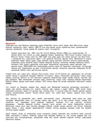 Мазаалай
1940-өөд оны үед Оросын эрдэмтэд хүрэн баавгайн нэгэн шинэ төрөл зүйл Монголын говьд
байгааг илрүүлсэн гэдэг. Харин 1960,70 оны үед манай улсын эрдэмтэд орос судлаачидтай
хамтран мазаалайг тоолж ердөө 50 үлджээ гэдэг түгшүүртэй

     мэдээг дуулгасан юм. 1991 онд 40 толгой байсан боловч 2006 оны судалгаагаар 16
     орчим болж тоо толгой нь улам цөөрсөн байна. Хэдийгээр 1953 оноос агнахыг хориглон,
     Монгол Улсын “Улаан ном”-нд 1987,1997 онд хоёр удаа нэн ховор амьтан гэж бүртгэсэн
     ч мазаалай өсч, үржсэнгүй харин ч 30 хүрэхгүй болтлоо цөрсөн ажээ. Мазаалай нь хүрэн
     баавгайн төрөл зүйлд ордог. Дэд зүйлийн хувьд хамгийн сүүлийн генетик судалгаагаар
     Гималайн хүрэн баавгай буюу Говийн баавгай болохыг баталсан бөгөөд Пакистан болон
     Хятадын Тянь Шяны нуруугаар нутагладаг баавгайтай генетикийн хувьд хамгийн ойр
     амьтан ажээ. 2008-2009 оны дээжнүүдэд анализ хийж 22 баавгайн генотипийг тогтоогоод
     байгаа юм. Судалгааны үр дүнг статистикийн аргаар тооцоолж одоогийн байдлаар 22-28
     мазаалай байна гэсэн дүгнэлтэнд хүрсэн.

Говийн Атас уул, Шар хулс, Цагаан богд уулын гэсэн 15-16 мянган ам. дөрвөлжин км нутгийн
гурван бүсэд л мазаалай амьдарч байгааг тогтоосон. Идэш тэжээлийн дутагдлаас гадна говьд
хүмүүс нутаглах болсон нь энэ амьтанд тодорхой хэмжээгээр сөрөг нөлөө үзүүлж, нутгийн зах
руу дайжжээ. Мөн мазаалайн доньдыг авах зорилгоор, эсвэл хээр таараад айхдаа буудчихдаг
байсан байна. Дээрх шалтгааны улмаас 1975 оноос өмнө 50 орчим мазаалай хорогдсон мэдээ
байдаг.

Гол тэжээл нь бажууна, хармаг өвс, хөмүүл юм. Мазаалай ихэвчлэн ургамлаар хооллодог ч
хавар том хөхтөн амьтдын сэг, мэрэгч амьтад, мөн шавьж ч иддэг байна. 1985 оноос хойш
мазаалай ичээнээс гарах 4-5 дугаар сар, ичээнд орох 11 дүгээр сард Их говийн дархан цаазат
газрын захиргаанаас нэмэлт тэжээл болох уураг, тос, амин дэм, лууван, эрдэнэ шиш тавьж
өгөх болсон.

Нас гүйцсэн эр мазаалайг эвш, эмийг шар-маахай гэдэг. Мазаалай хоёр жилд нэг удаа
төллөдөг. Мазаалайн ороо 5-7 дугаар сарын үед ордог. 9-10 сар хээлээ тээдэг. Хавар эрт
ихэвчлэн нэг, заримдаа ихэр аламцаг төрүүлнэ. Аламцаг 2-3 нас хүртлээ эхтэйгээ
амьдардаг.   Биеийн ерөнхий хэлбэр, хэмжээ, өнгө зүсээр ойн хүрэн баавгайтай төстэй.
Монголын говьд олон зуун жилээр амьдарч байгаа говийн уугуул амьтан гэж болно. Харахад
удаан болхи ч маш хурдан хөдөлгөөнтэй. Говийн толгод дундуур явахдаа хоёр хөл дээрээ
зогсоод бараа хардаг.

Одоо тархац газар нь хоорондоо улам алсарсан учраас үржлийн үед нэгийгээ хайж олохгүй
байх тохиолдол ч байна. Тиймээс үржил муу явагдаж байгаа нь тоо толгой цөөрөх бас нэг
шалтгаан юм. Сонирхуулахад, мазаалайн хойд хөл хүний тавхайн мөртэй хэлбэр, дүрсээрээ
ойролцоо байдаг.
 