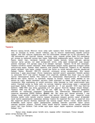 Тарвага

     Монгол оронд Алтай, Монгол гэсэн хоёр зүйл тарвага бий. Алтайн тарвага биеэр арай
     том, үс ноолуур нь өтгөн, сахлаг гоёмсог, дуу нь монгол тарваганаас нарийн шингэн
     байдаг. Нас бие гүйцсэн тарваганы жин 9.8 килограмм, биеийн урт нь 63 сантиметр. 90-
     160 миллиметр урт сүүлтэй. Шанаа, хоншоор, эрүү, нүдний орчим байх 3-6 сантиметр
     урт үснүүд нь харанхуй нүхэнд орж гарах, байрлахад мэдрүүлийн үүрэг гүйцэтгэнэ. Эрийг
     бурхи, эмийг тарч, төллөсөн тарчийг нагай, тухайн жилийн төлийг мөндөл, дөнгөж
     гарсныг эргүү цагаан, нэг өвөл өнгөрснийг хотил, хоёр өвөл өнгөрснийг шар хацарт
     хэмээн нэрлэдэг. 4-5 дугаар сард 5-12 мөндөл гаргадаг. Тарвага 15-16 жил насалдаг.
     Тарвага нэгийгээ хужирт явуулдаг. Хоёр завжаараа дүүрэн хужир дүүргээд үсэндээ хужир
     шингээгээд ирдэг. Хужирт яваа тарвагыг алж хороож болдоггүй. Тарвага нь 42 төрлийн
     эмийн ургамал түүж иддэг учраас түүний юм бүхэн нь хүний өвчнийг анагаах увьдастай
     байдаг байна. Жилийн 160-175 хоногийг ичээндээ унтаж өнгөрүүлдэг. Энэ үедээ
     минутанд 1 удаа амьсгалдаг. Ичсэн тарваганы зүрхний цохилт удааширч, биеийн дулаан
     нь цельсийн 4.6-7 хэм хүртэл буурдаг атал үхдэггүй, ерөөсөө яаж ичдэг нууц нь одоо
     хүртэл тайлагдаагүй байна. Нас гүйцсэн нэг тарваганаас ойролцоогоор 10 килограмм
     өөхтэй мах гарна. Арьсыг нь арилжиж, махаар нь боодог, хорхог хийж, өөхөөр нь хүн
     малын яр шарх, хөхүүл ханиадыг эдгээнэ. Сайн ходоодыг нь хавар турж эцсэн малд өгч
     тэнхрүүлнэ. Муу ходоодоор нь нохой хооллоно. Шүд хумсаар нь гоёл чимэглэлийн зүйл
     хийнэ. Сүүлний үсээр нь бийр хийх гэх мэтээр тарвагыг монголчууд ямар ч хаягдалгүй
     ашигладаг байна. Монгол улс түүхэндээ хамгийн их 4 сая арьсийг 1910 онд бэлтгэж
     байжээ. 1946-1955 онд жилд дунджаар 2.3 сая арьсыг бэлтгэж байсан мэдээ байдаг.
     Тарвага 1940 онд 40 сая, 1970 онд 20 сая, 1980 онд 15 сая, 2006 онд тарваганы
     хамгийн их тархацтай газруудыг хамруулаад Төв, Баянхонгор, Өвөрхангай аймагт
     судалгаа явуулахад 22000 байжээ. Домог нь: Эрт урьд цагт манай дэлхийд 7 нар
     гараад газар дэлхийг хуйхалж шатаачих гээд амьтан хүн байж сууж чадахгүй хэцүү
     болоход эрийн сайн эрхийн мэргэн хурдан мориндоо мордон долоон нарыг өглөөнөөс
     орой хүртэл дараалуулан харвахаар амлаад “хэрвээ би чадахгүй бол хар ус уудаггүй хагд
     өвс иддэггүй амьтан болоод харанхуй хар нүхэнд суудаг болно” гэжээ. Эрхий мэргэн
     өглөөнөөс орой хүртэл нарыг дараалуулан харваад хамгийн сүүлчийн нарыг уулын
     цаагуур оруулан алджээ. Түүнээс хойш эрхий мэргэн тарвага болон хувирч харанхуй
     нүхэн гэрт суух болжээ. Гэвч өглөө гарч ирэн нарыг харан харвачих санаатай ширтэж
     байдаг гэнэ.

           Уулын хээр, өндөр уулын тагийн асга, хадаар элбэг тохиолдно. Голын хөндий,
уулын энгэр бэлээр ойн
           бүсэд гүн нэвтэрнэ.
 