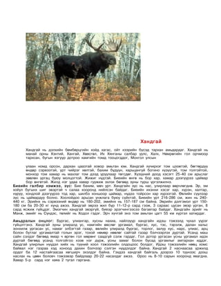 Хандгай
      Хандгай нь дэлхийн бөмбөрцгийн хойд хагас, ойт хээрийн бүсэд тархан амьдардаг. Хандгай нь
      манай орны Хэнтий, Хангай, Хөвсгөл, Их Хянганы салбар уулс, Халх, Нөмрөгийн гол орчмоор
      тархсан, бугын язгуур дотроо хамгийн томд тооцогддог, Монгол улсын

       улаан номд орсон, дархан цаазтай ховор амьтан юм. Хандгай хүчирхэг том цээжтэй, бөгтөрдүү
       өндөр сэрвээтэй, урт чийрэг хөлтэй, бахим бүдүүн, харьцангуй богино хүзүүтэй, том толгойтой,
       монхор том хамар нь махлаг том дээд уруулаар төгсдөг. Хүзүүний доод хэсэгт 25-40 см арьслаг
       зөөлөн ургац буюу молцогтой. Жижиг нүдтэй. Биеийн өнгө нь бор хар, хамар дээгүүрээ цайвар
       бор өнгөтэй. Жилд нэг удаа хавар гуужиж эхлэх бөгөөд зуны турш үргэлжилнэ.
Биеийн галбир хэмжээ, зүс: Бие бахим, мөч урт. Хандгайн зүс нь нас, улирлаар өөрчлөгднө. Эр, эм
хоёул бугынх шиг эвэртэй ч салаа хооронд нийлсэн байдаг. Биеийн ихэнхи хэсэг хар, хүрэн, халтар,
нуруу, хондлой дээгүүрээ тод хар, шилбэ хоншоор цайвар, нүдээ тойрсон хар хүрээтэй. Өвлийн сүүлээр
зүс нь цайвардуу болно. Хоолойдоо арьсан унжлага буюу сүйхтэй. Биеийн урт 216-286 см, жин нь 240-
440 кг. Эрийнх нь сэрвээний өндөр нь 180-202, эмийнх нь 157-187 см байна. Эврийн дэлгэмэл урт 150-
180 см ба 20-30 кг хүнд ажээ. Хандгай эврээ жил бүр 11-12-р сард гээж, 3 сараас цусан эвэр урган, 8
сард ясжиж гүйцдэг. Эмэгчин хандгай эвэргүй, биеэр эрэгчингээсээ багавтар байдаг. Хандгайн эрийг нь
Манж, эмийг нь Сүндэс, төлийг нь Ходол гэдэг. Эрч хүчтэй энэ том амьтан цагт 55 км хүртэл хатирдаг.

Амьдралын онцлог: Бургас, улиангар, хусны нахиа, найлзуур хандгайн идэш тэжээлд чухал үүрэг
гүйцэтгэнэ. Хандгай зуны улиралд ус, намгийн өвслөг ургамал, бургас, хус, тэс, тэрэлж, далан хальс
зонхилж ургасан ус, намаг элбэгтэй газар, өвлийн улиралд бургас, торлог, залуу хус, нарс, улиас, арц
болон бутлаг ургамалтай голын эрэг, тохой нөмөр нөөлөг сайтай газар бэлчээрлэх дуртай. Усанд маш
сайн сэлдэг бөгөөд ямар ч өргөн гол мөрөнг саадгүй сэлж гардаг. Гол дотор ургасан усны ургамал идэх
дуртай бөгөөд усанд толгойгоо хээв нэг дүрж, усны замаг болон бусад ургамлыг амтархан иддэг.
Хандгай улирлын нүүдэл хийх нь түүний хоол тэжээлийн олдоцоос болдог. Идэш тэжээлийн нөөц хомс
байвал нэг газраа хэд хоноод дахин бэлчээр сэлгэн нүүдэлдэг байна. Хандгай 2 наснаасаа үржилд
ордог ба 12 настайгаасаа хөгширч эхэлдэг байна. Гэхдээ хандгай байгаль дээрээ 10 түүнээс дээш
наслах нь цөөн боловч тэжээвэр байдлаар 20-22 насалдаг ажээ. Ороо нь 8-10 сарын хооронд явагдна.
Хавар 5-р сард нэг хаяа 2 тугал гаргана.
 