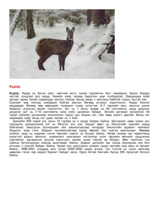 Хүдэр
Хүдэр: Хүдэр нь бугын овог, хөхтний анги, салаа туурайтны багт хамаарна. Хүрэн бордуу
зүстэй, хондлой зоо нуруу, биеийн хоёр талаар бүдэгхэн шар толбуудтай. Омруундаа хоёр
цагаан зураа бүхий сааралдуу зангиа гэмээр бусад ямар ч амьтанд байхгүй содон зүстэй юм.
Сүүлийн үед нилээд ховордож байгаа амьтан бөгөөд агнахыг хориглосон. Хүдэр бүллэн
амьдардаг бөгөөд өөр өөрсдийн эзэмшил газар нутагтай. 6-7 төрлийн мал, амьтны шинж
байдлыг агуулсан өвсөн тэжээлтэн. Урт нь 1 метр, өндөр нь 60 сантиметр, дээд уруулын
доороос урт нь 7-10 сантиметр хоёр соёо цухуйсан байдаг. Энгийн ургамал зонхилсон 40
гаруй зүйлийн ургамлаар хооллохоос гадна хуш модны хаг, ойн хөвд зэрэгт дуртай. Жилд нэг
заримдаа хоёр жилд нэг удаа төллөх нь ч бий.
   Дэлхийн 200 гаруй улс орны 10 гаруйд нь л хүдэр байдаг байна. Эдгээрээс цөөн хэдэн улс
гаршуулж үржүүлсэний нэг нь Монгол улс юм. Хүдэрт өөрт нь биологийн үүргийн хувьд
байгалиас заяагдсан булчирхайн үйл ажиллагаагаар ялгардаг биологийн идэвхит нийлмэл
бодисыг заар гэнэ. Заарын тусламжтайгаар хүдэр өөрийн бүл сүргээ хамгаалдаг. Өөрөөр
хэлбэл, заар нь хүдрийн нэгэн төрлийн зэвсэг нь болдог байна. Нөгөө талаар хүн төрөлхтөнд
хэрэгтэй ардын эмнэлэг, уламжлалт анагаахын чиглэлээр олон төрлийн өвчнийг урьдчилан
сэргийлэх, эдгэрүүлэх онцгой хэрэгцээт эмийн чухал түүхий эд болдог. Мөн түүнчлэн гоо
сайхны бүтээгдэхүүн хийхэд ашигладаг байна. Заарыг дэлхийн зах зээлд борлуулах юм бол
алтнаас ч үнэтэй байдаг байна. Чухам энэ шалтгааны улмаас хүдэр хулгайн анд маш их өртдөг
байна. 1996-2001 онуудад жил тутам 2500-3000 хүдэр агнаж, тоо толгой нь гучин мянгаар
цөөрсөн гэсэн хар мэдээ баримт байдаг ажээ. Одоо Алтай Хангайн бүсэд 300 хүрэхгүй болсон
байна.
 