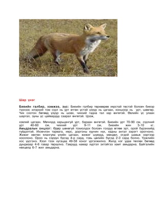 Шар үнэг

Биеийн галбир, хэмжээ, зүс: Биеийн галбир төрхөөрөө хярстай төстэй боловч биеэр
түүнээс илэрхий том сүүл нь урт өтгөн үстэй үзүүр нь цагаан, хоншоор нь урт, шөвгөр.
Чих соотон бөгөөд үзүүр нь шовх, чихний гадна тал хар өнгөтэй. Өвлийн үс улаан
шаргал, зуны үс цайвардуу саарал өнгөтэй. Цээж,
хэвлий цагаан. Мөчнүүд харьцангуй урт, бараан өнгөтэй. Биеийн урт 70-90 см, сүүлний
урт    40-60    см,    чихний     урт    9-11   см,    биеийн     жин    5-10    кг.
Амьдралын онцлог: Өдөр шөнөгүй тохиолдох боловч голдуу өглөө эрт, орой бүрэнхийд
гүйдэлтэй. Ихэвчлэн тарвага, хярс, доргоны хуучин нүх, хадны ангал зэрэгт орогноно.
Жижиг хөхтөн ялангуяа үлийн цагаан, жижиг шувууд, мөндөл, огдой шавьж зэргээр
хооллоно. Ороо нь сэрүүн бүсэд 4-р сард, говь цөлийн бүсэд 2-3 сард болно. Үржлийн
хос үүсгэнэ. Хээл тээх хугацаа 49-58 хоног үргэлжилнэ. Жилд нэг удаа төллөх бөгөөд
дунджаар 4-6 гавар төрүүлнэ. Гаврууд намар хүртэл эхтэйгээ хамт амьдарна. Байгалийн
нөхцөлд 6-7 жил амьдарна.
 