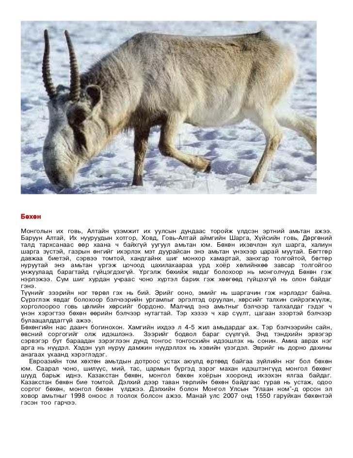 монгол орны ан амьтан хэрэглэгдэхүүн