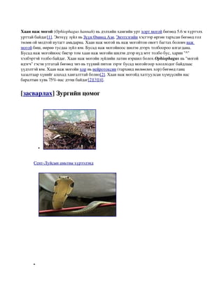 мөлхөгчид | PDF