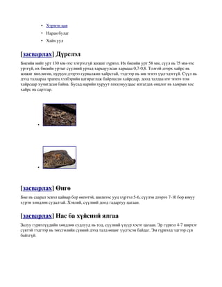 мөлхөгчид | PDF
