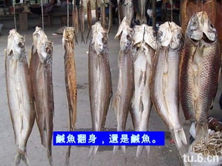 鹹魚翻身，還是鹹魚。 