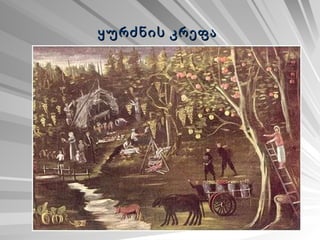 ყურძნის კრეფა   