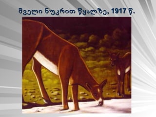 შველი ნუკრით წყალზე, 1917 წ.   