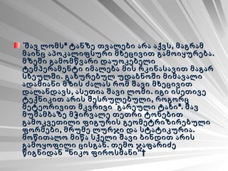 «შავ ლომს» ტანზე თვალები არა აქვს, მაგრამ მაინც აპოკალიფსური მხეცივით გამოიყურება. მზეში გამომწვარი დაუოკებელი ტემპერამენტი იმალება მის რკინასავით მაგარ სხეულში. გახურებულ უდაბნოში მიმავალი ადამიანი მზის ძალას რომ შავი მხეცივით დალანდავს, ასეთია შავი ლომი. იგი ისეთივე ტექნიკით არის შესრულებული, როგორც მეტეორივით მკვრივი «გარეული ტახი». შავ მუშამბაზე მჭირვალე თეთრი ტონებით გამოკვეთილი ფიგურის გეომეტრიზირებული ფორმები, მრუმე ლურჯი და სტატიკურია. მოწითალო მიწა სქელი შავი ბინდით არის გამოყოფილი ცისგან. თემო ჯაფარიძე წიგნიდან “ნიკო ფიროსმანი”    