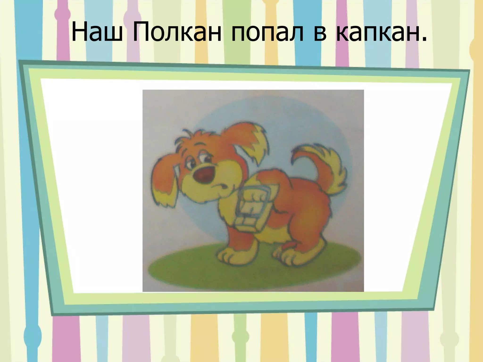 Наш Полкан попал в капкан. 