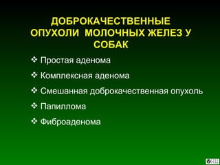 ДОБРОКАЧЕСТВЕННЫЕ ОПУХОЛИ  МОЛОЧНЫХ ЖЕЛЕЗ У СОБАК Простая аденома Комплексная аденома Смешанная доброкачественная опухоль Папиллома Фиброаденома 