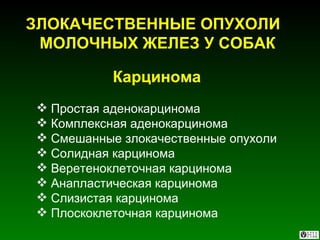 ЗЛОКАЧЕСТВЕННЫЕ ОПУХОЛИ  МОЛОЧНЫХ ЖЕЛЕЗ У СОБАК Карцинома Простая аденокарцинома Комплексная аденокарцинома Смешанные злокачественные опухоли Солидная карцинома Веретеноклеточная карцинома Анапластическая карцинома Слизистая карцинома Плоскоклеточная карцинома 