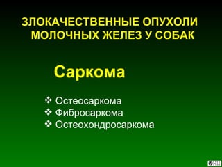 ЗЛОКАЧЕСТВЕННЫЕ ОПУХОЛИ  МОЛОЧНЫХ ЖЕЛЕЗ У СОБАК Остеосаркома Фибросаркома Остеохондросаркома Саркома 