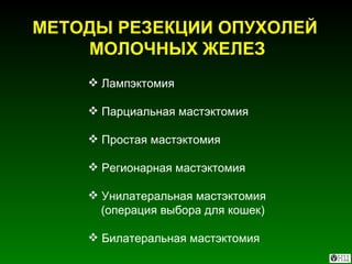 МЕТОДЫ РЕЗЕКЦИИ ОПУХОЛЕЙ  МОЛОЧНЫХ ЖЕЛЕЗ Лампэктомия Парциальная мастэктомия Простая мастэктомия Регионарная мастэктомия Унилатеральная мастэктомия  (операция выбора для кошек) Билатеральная мастэктомия 
