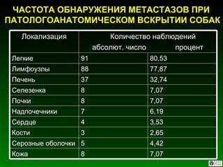 ЧАСТОТА ОБНАРУЖЕНИЯ МЕТАСТАЗОВ ПРИ  ПАТОЛОГОАНАТОМИЧЕСКОМ ВСКРЫТИИ СОБАК 7,07 8 Кожа 4,42 5 Серозные оболочки 2,65 3 Кости 3,53 4 Сердце 6,19 7 Надпочечники 7,07 8 Почки 7,07 8 Селезенка 32,74 37 Печень 77,87 88 Лимфоузлы 80,53 91 Легкие Количество наблюдений абсолют. число  процент Локализация 