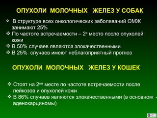 ОПУХОЛИ  МОЛОЧНЫХ  ЖЕЛЕЗ У СОБАК В структуре всех онкологических заболеваний ОМЖ  занимают 25%  По частоте встречаемости – 2 е  место после опухолей кожи В 50% случаев являются злокачественными В 25%  случаев имеют неблагоприятный прогноз ОПУХОЛИ  МОЛОЧНЫХ  ЖЕЛЕЗ У КОШЕК Стоят на 2 ом  месте по частоте встречаемости после лейкозов и опухолей кожи В 86% случаев являются злокачественными (в основном  - аденокарциномы) 