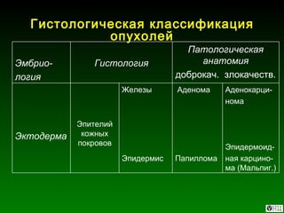 Гистологическая классификация опухолей Аденокарци- нома Эпидермоид- ная карцино-ма (Мальпиг.) Аденома Папиллома Железы Эпидермис Эпителий кожных покровов Эктодерма Патологическая анатомия доброкач.  злокачеств. Гистология Эмбрио- логия 