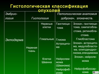Гистологическая классификация опухолей Злокач. ганглиоци-тома, симпатобла- стома, ретинобла- стома.  Глиобластома Злокач. астроцито-ма, медулобласто-ма, олигодендрог-лиома,эпендимома Злокач. нейроле- мома Нейрофибросар-кома Ганглиоци- тома Глиома Астроцито-ма Нейролем-мома (Шванома) Нейрофиб-рома Нервные клетки Глиальные  Клетки Шванна Нервная ткань Эктодерма Патологическая анатомия доброкач.  злокачеств. Гистология Эмбрио- логия 