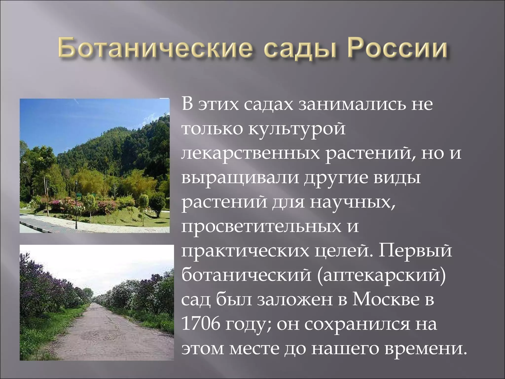 В этих садах занимались не только культурой лекарственных растений, но и выращивали другие виды растений для научных, просветительных и практических целей. Первый ботанический (аптекарский) сад был заложен в Москве в 1706 году; он сохранился на этом месте до нашего времени.  
