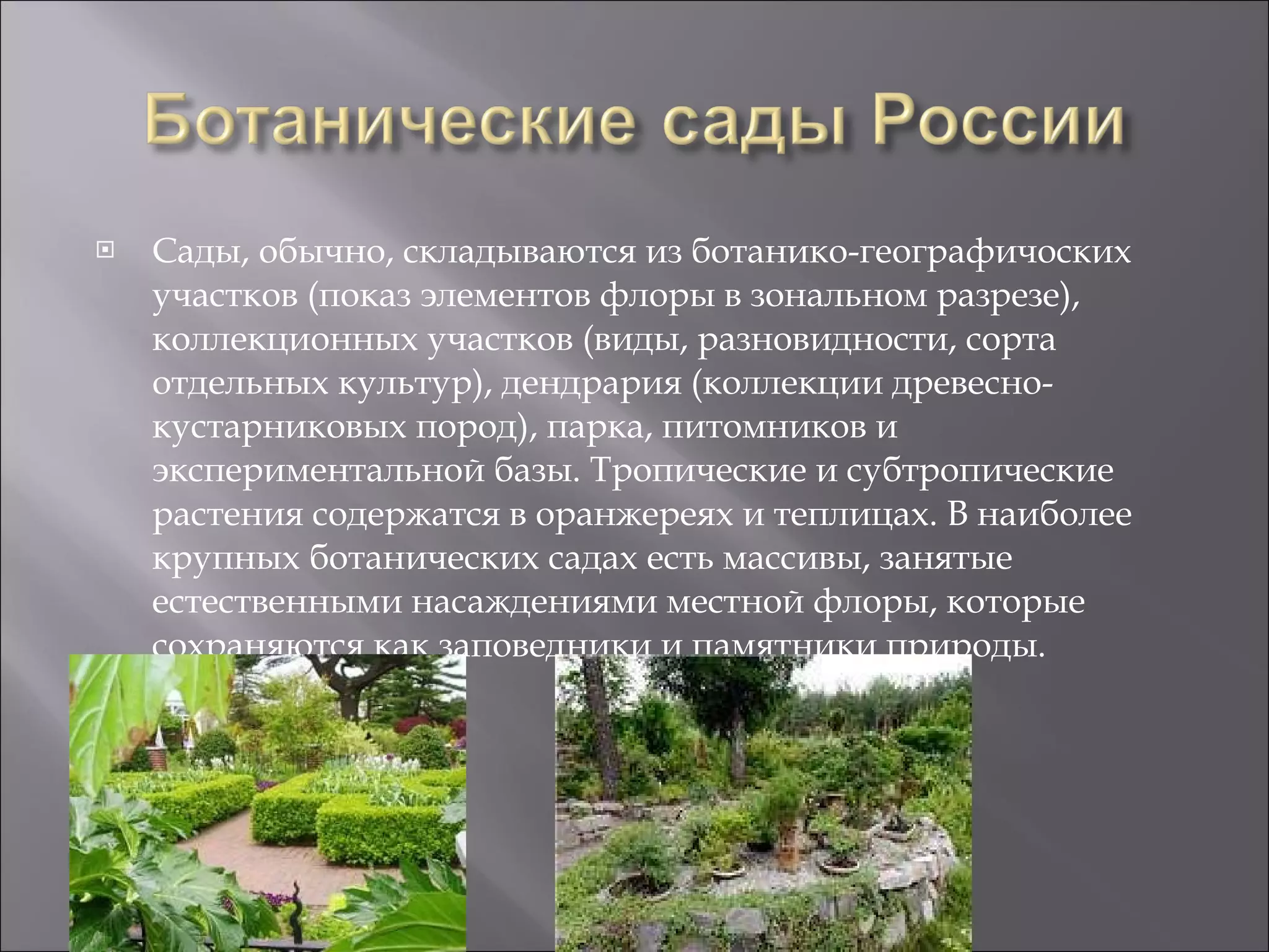 Сады, обычно, складываются из ботанико-географичоских участков (показ элементов флоры в зональном разрезе), коллекционных участков (виды, разновидности, сорта отдельных культур), дендрария (коллекции древесно-кустарниковых пород), парка, питомников и экспериментальной базы. Тропические и субтропические растения содержатся в оранжереях и теплицах. В наиболее крупных ботанических садах есть массивы, занятые естественными насаждениями местной флоры, которые сохраняются как заповедники и памятники природы.  