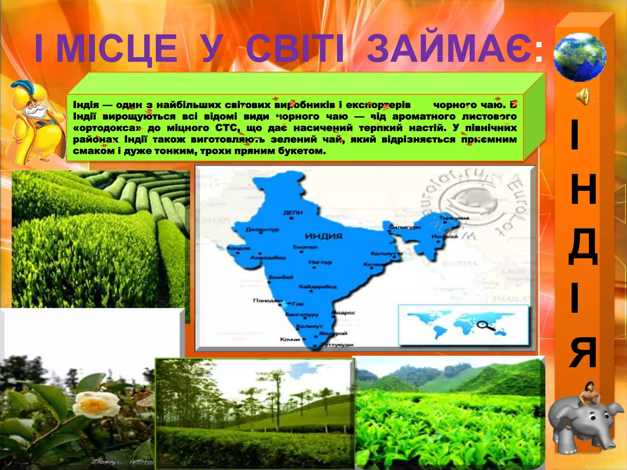 ІНДІЯІ МІСЦЕ  У  СВІТІ  ЗАЙМАЄ:Індія — один з найбільших світових виробників і експортерів чорного чаю. В Індії вирощуються всі відомі види чорного чаю — від ароматного листового «ортодокса» до міцного СТС, що дає насичений терпкий настій. У північних районах Індії також виготовляють зелений чай, який відрізняється приємним смаком і дуже тонким, трохи пряним букетом.