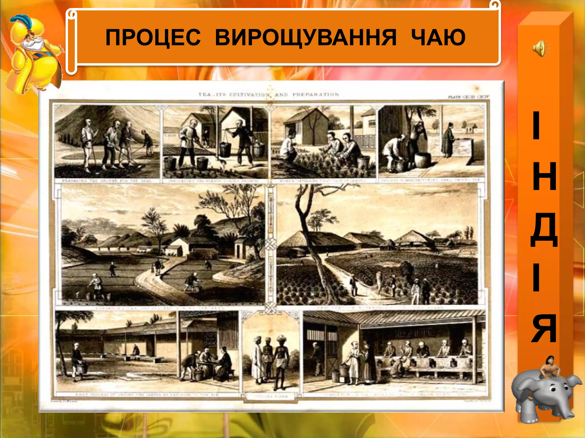 ПРОЦЕС  ВИРОЩУВАННЯ  ЧАЮІНДІЯПРОЦЕС  ВИРОЩУВАННЯ  ЧАЮ