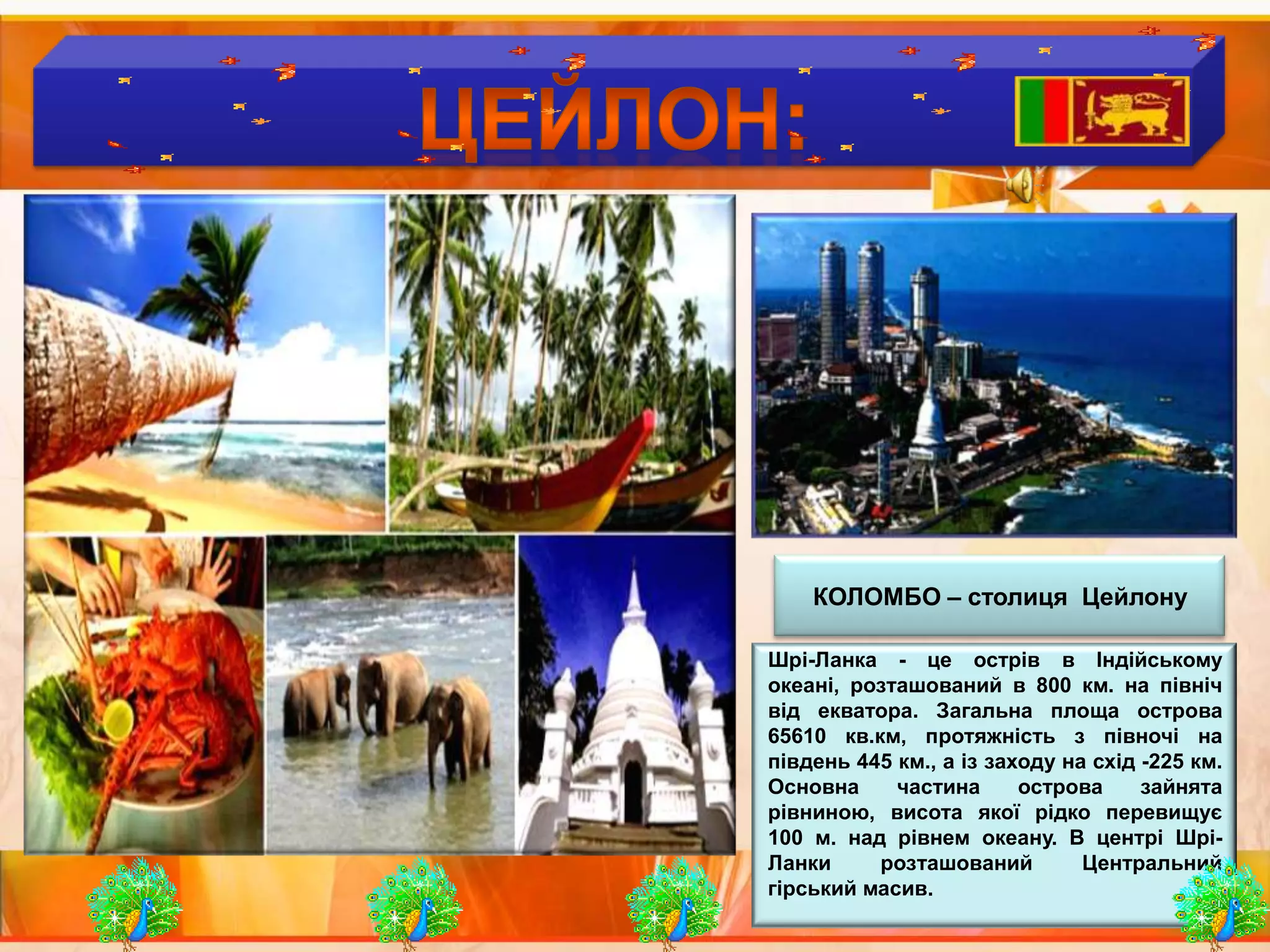 Країни  виробники  чаю :ЦЕЙЛОН:КОЛОМБО – столиця  ЦейлонуШрі-Ланка - це острів в Індійському океані, розташований в 800 км. на північ від екватора. Загальна площа острова 65610 кв.км, протяжність з півночі на південь 445 км., а із заходу на схід -225 км. Основна частина острова зайнята рівниною, висота якої рідко перевищує 100 м. над рівнем океану. В центрі Шрі-Ланки розташований Центральний гірський масив. 