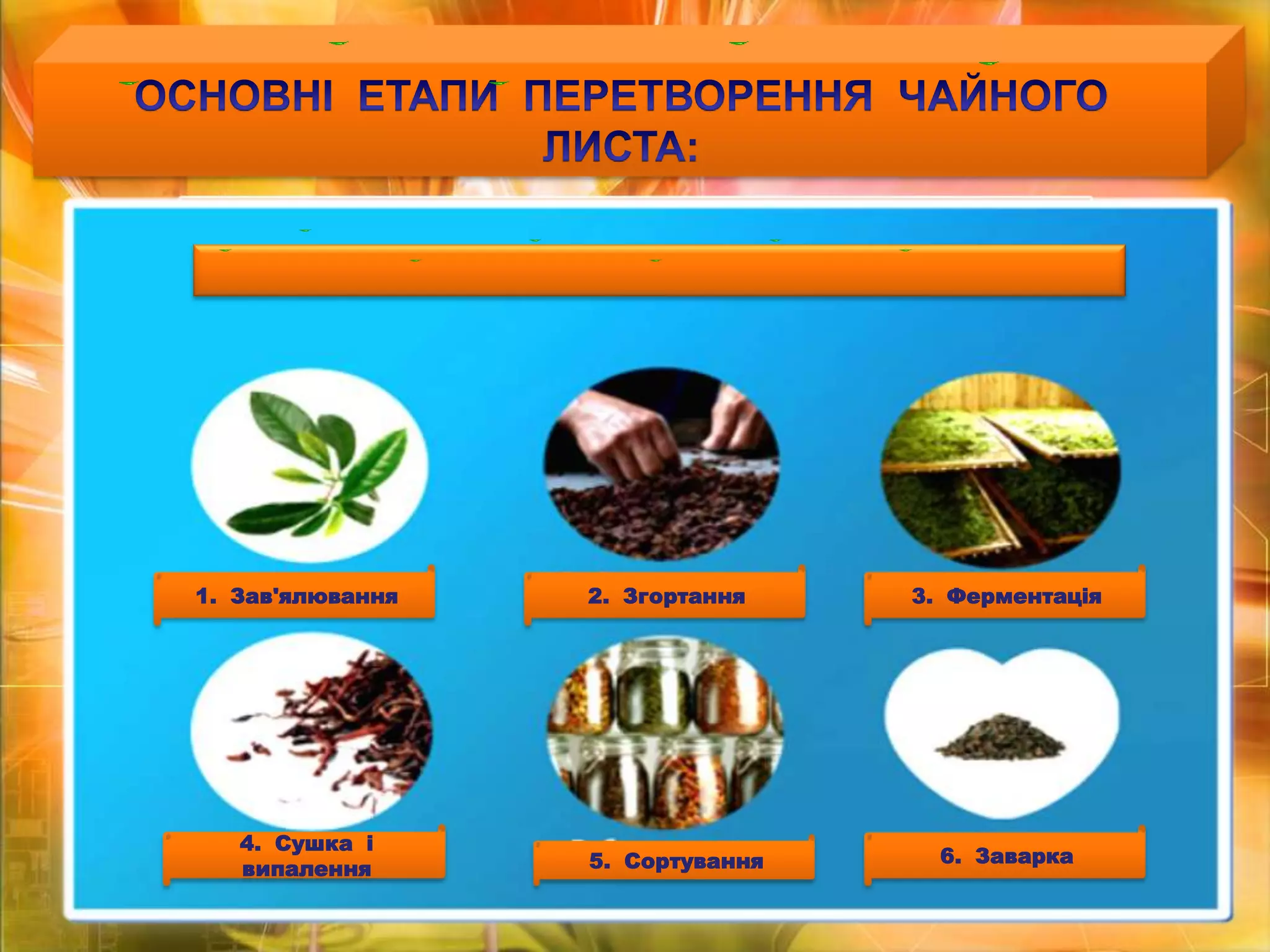 ОСНОВНІ  ЕТАПИ  ПЕРЕТВОРЕННЯ  ЧАЙНОГО  ЛИСТА:1.  Зав'ялювання2.  Згортання3.  Ферментація6.  Заварка4.  Сушка  і  випалення5.  Сортування
