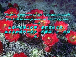 There‘s a purpose to life’s events, to teach you how to laugh more or not to cry too hard.  生命中所發生的事，都有它的目的， 無非是教我們如何多一些歡笑，少一些哭泣。 