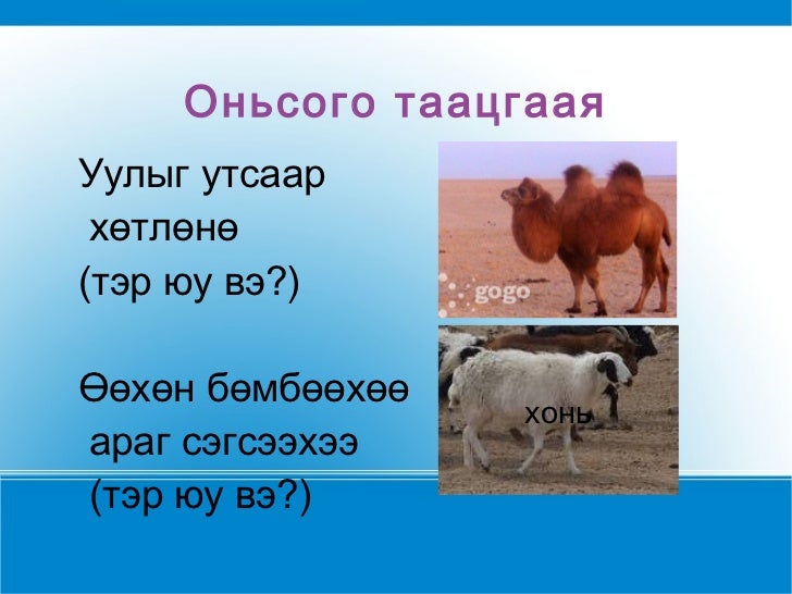 н.лхагвасайхантэжээмэл амьтад