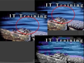 ΦΥΤΤΑΣ ΓΙΩΡΓΟΣ - MSc  ΦΥΣΙΚΟΣ 