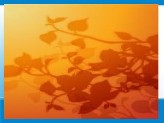 өнгө хэрэглэгдэхүүн