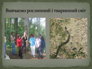 Вивчаємо рослинний і тваринний світ