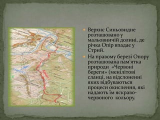 Верхнє Синьовидне розташовано у мальовничій долині, де річка Опір впадає у Стрий.На правому березі Опору розташована пам'ятка природи  «Червоні береги» (менілітові сланці, на відслоненні яких відбуваються процеси окислення, які надають їм яскраво-червоного  кольору.