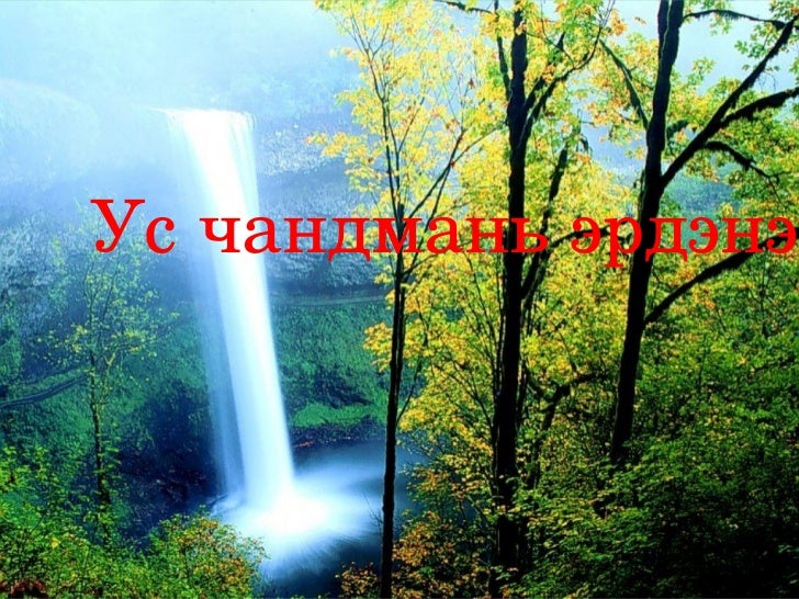 ус