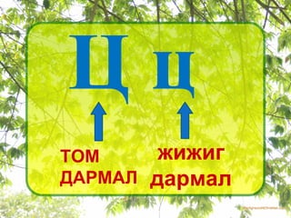 Ц   ц   ТОМ  ДАРМАЛ   жижиг дармал 