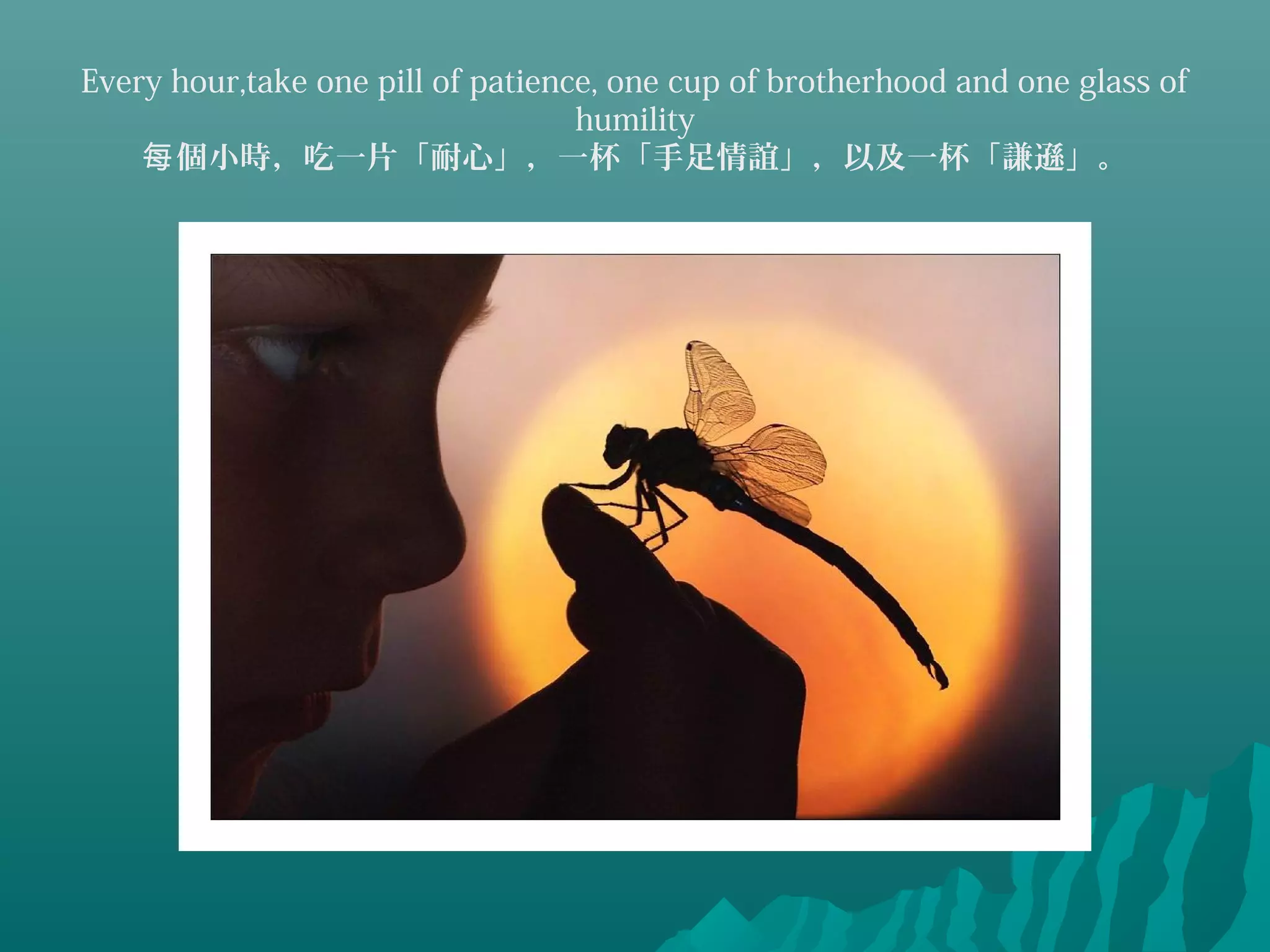 Every hour,take one pill of patience, one cup of brotherhood and one glass of
humility
個小時，吃一片「耐心」，一杯「手足情誼」，以及一杯「謙遜」。每
 