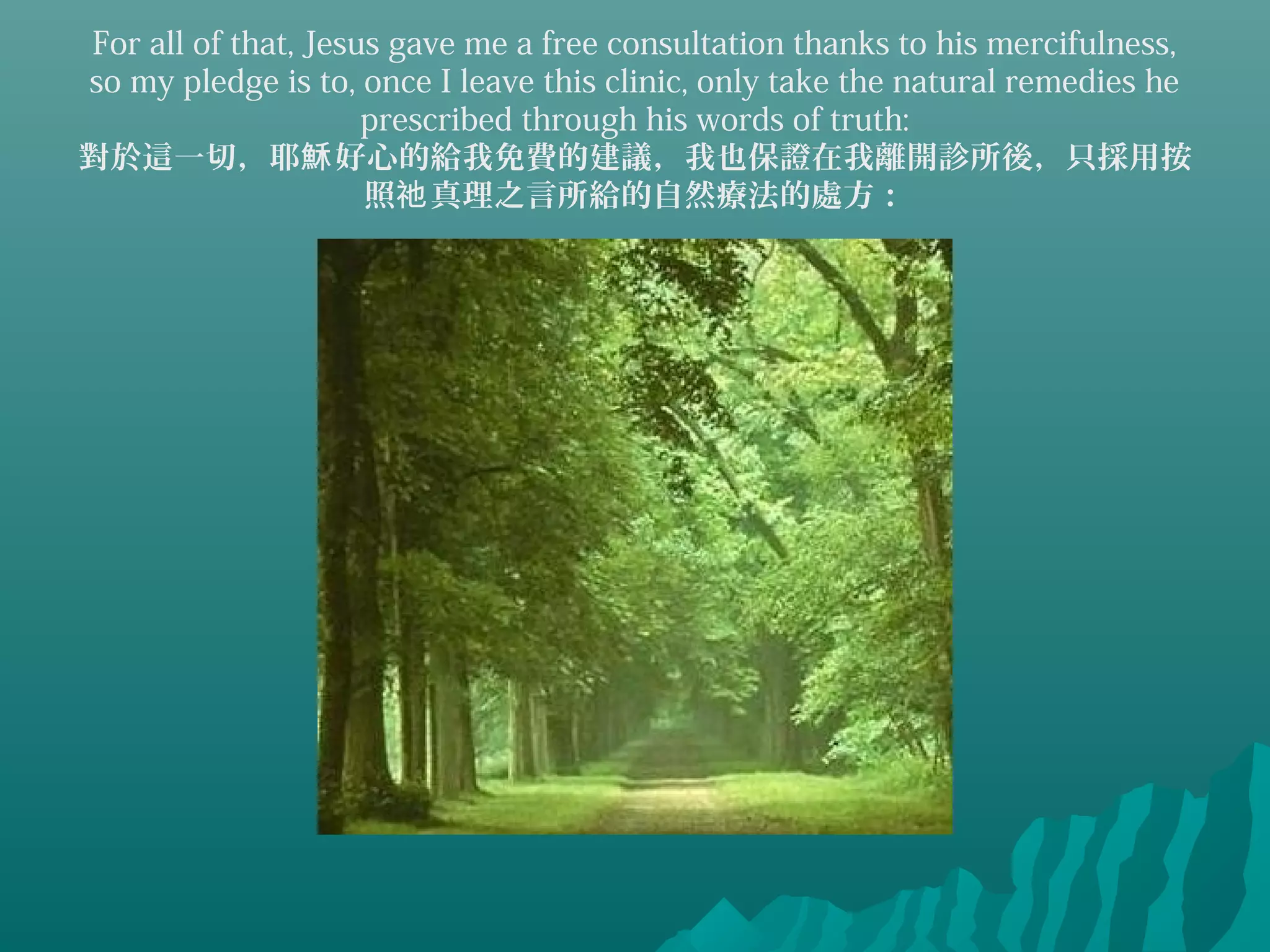 For all of that, Jesus gave me a free consultation thanks to his mercifulness,
so my pledge is to, once I leave this clinic, only take the natural remedies he
prescribed through his words of truth:
對於這一切，耶 好心的給我免費的建議，我也保證在我離開診所後，只採用按穌
照 真理之言所給的自然療法的處方：祂
 