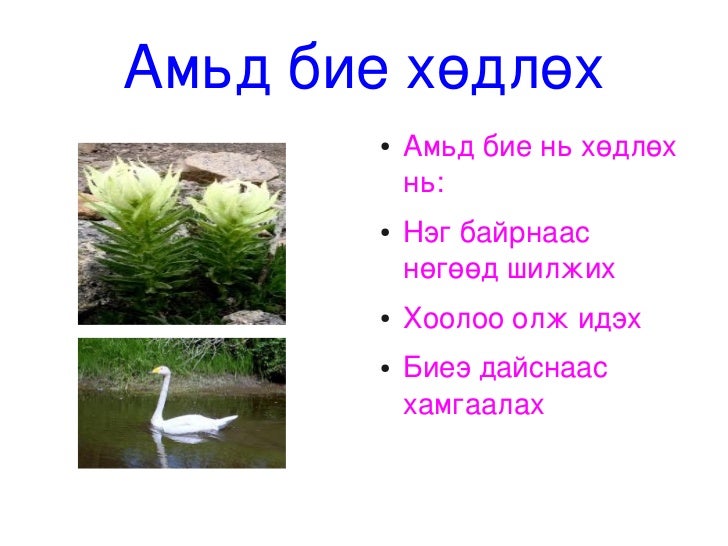 амьд биеийн үржил, хөдөлгөөн