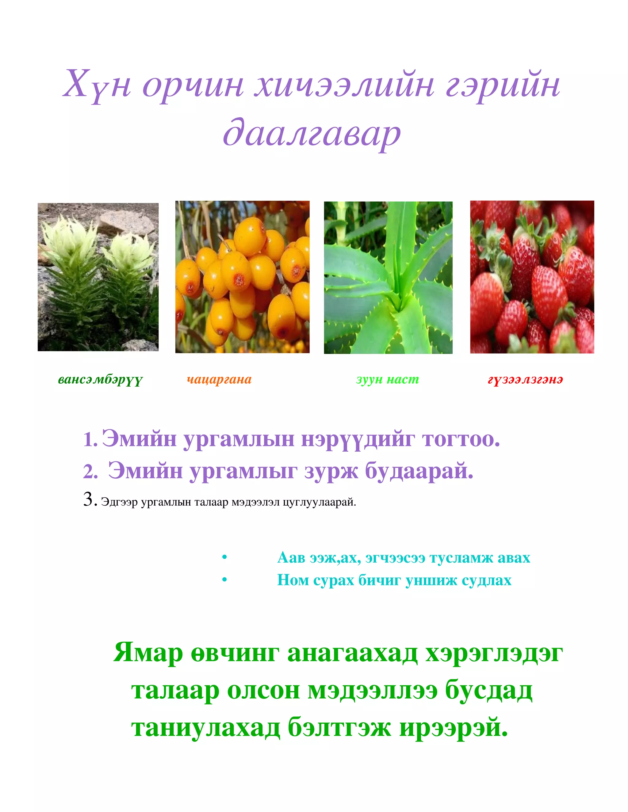 гэрийн даалгавар отгонсүрэн | PDF