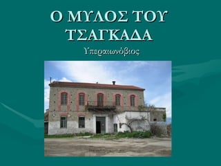 Ο ΜΥΛΟΣ ΤΟΥ ΤΣΑΓΚΑΔΑ Υπεραιωνόβιος 