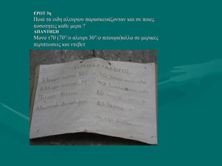 ΕΡΩΤ 3η Ποιά τα ειδη αλευριου παρασκευάζονταν και σε ποιες ποσοτητες καθε μερα ? ΑΠΑΝΤΗΣΗ  Μονο τ70 (70°/ο αλευρι 30°/ο πιτουρα)αλλα σε μερικες περιπτωσεις και ντεβετ 